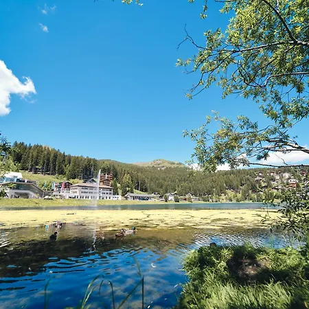 Padrun 5-weisshornbahn-arosa Zentrum-top Lage